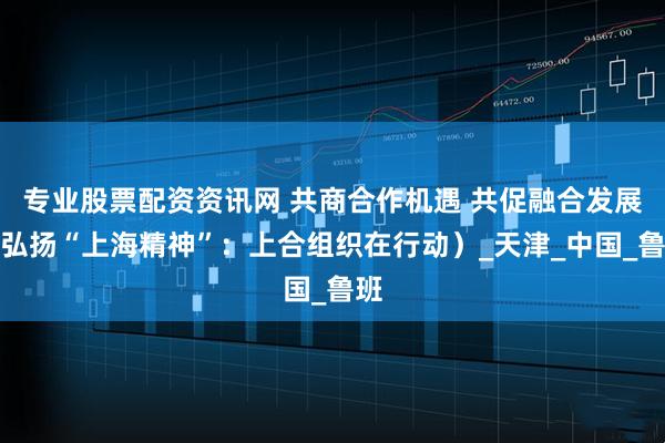 专业股票配资资讯网 共商合作机遇 共促融合发展（弘扬“上海精神”：上合组织在行动）_天津_中国_鲁班